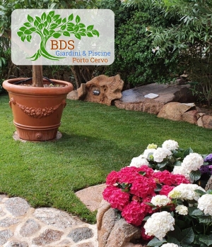 Piante in vaso, arbusti macchia mediterranea, piante aromatiche, giardino curato Porto Cervo Costa Smeralda Arzachena 