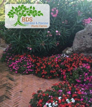 Bordo piscina con trampolino in granito, ottima manutenzione massima igiene e pulizia, Porto Cervo Porto Rotondo Baja Sardinia Arzachena 