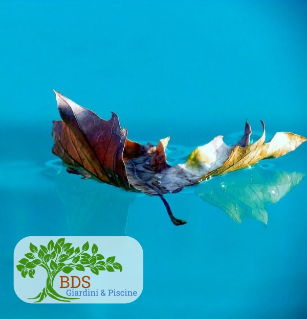 Potatura siepi rasatura prati Porto Cervo Baja Sardinia Costa Smeralda